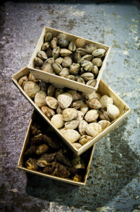 Jean Lebeaupin's shellfish are frequently delivered in bags or wooden crates