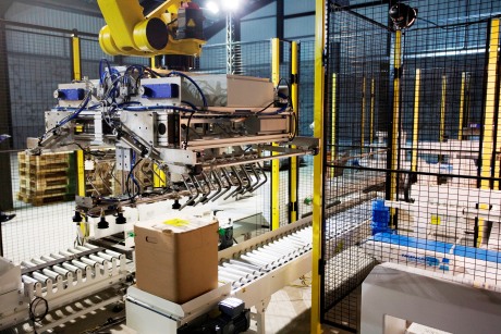 Robot palletisers with bags of versatility