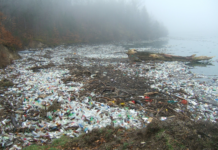 Level of commitment to reducing plastic pollution revealed a year on from agreement