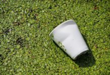 Packaging firm call for change in labelling packaging as biodegradable