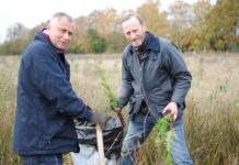 Antalis UK teams up with organisations to offer carbon offsetting solutions