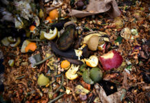 Avery Dennison expands sustainable packaging options