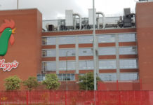 Kellogg’s to reduce cereal box size in sustainability drive