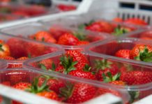Angus berry supplier makes 100% recycled material punnet switch