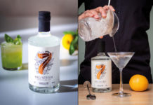 Sponsored content: Charles and Mike customer case study Big 7 Gin