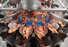 Ishida dishes up new solution for langoustines