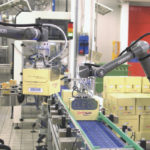 Labour crisis: cobots can lend a helping hand
