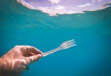 Scotland to ban ‘some of the most damaging’ single-use plastics