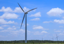 Carton manufacturer steps up investment in renewable energy capacity