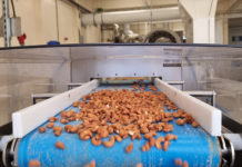 Firm is nuts about new metal detector