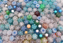 Ecoveritas calls on firms to be given tools for EPR preparation