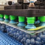 Brillopak to debut high-speed tray and punnet packer solution