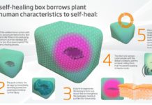 DS Smith predicts ‘self-healing’ box as packaging innovation evolves