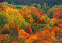 Winter & Company UK Now Carbon Neutral