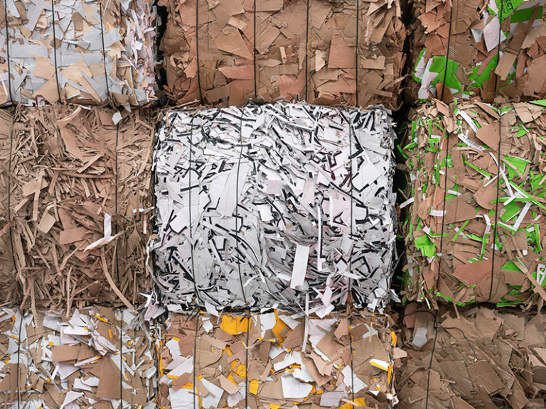 Paper-based packaging tipped to help tackle climate ‘anxiety’