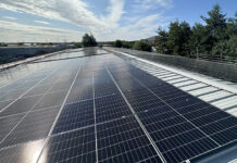 Packaging firm urges government support to help manufacturers switch to renewable energy