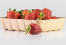 Compostable trays set ‘benchmark’ for sustainability