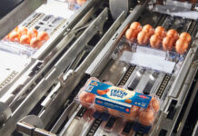 Automatic case erector improves productivity for major egg producer