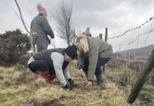 Packaging firm goes tree planting to offset paper consumption