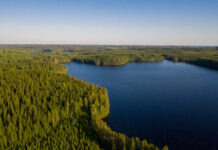 Metsä Board maintains Platinum level Ecovadis rating Metsä Board