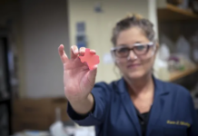 New beauty ingredient tipped to eliminate ‘thousands of tonnes’ of microplastics Teysha