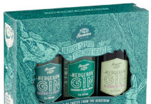 Functionality and striking aesthetics proves a winning combination for distiller’s gift packs Sloemotion cartons by Falconer