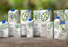 SIG Terra portfolio sees 15% sales growth in 2024 SIG Terra portfolio