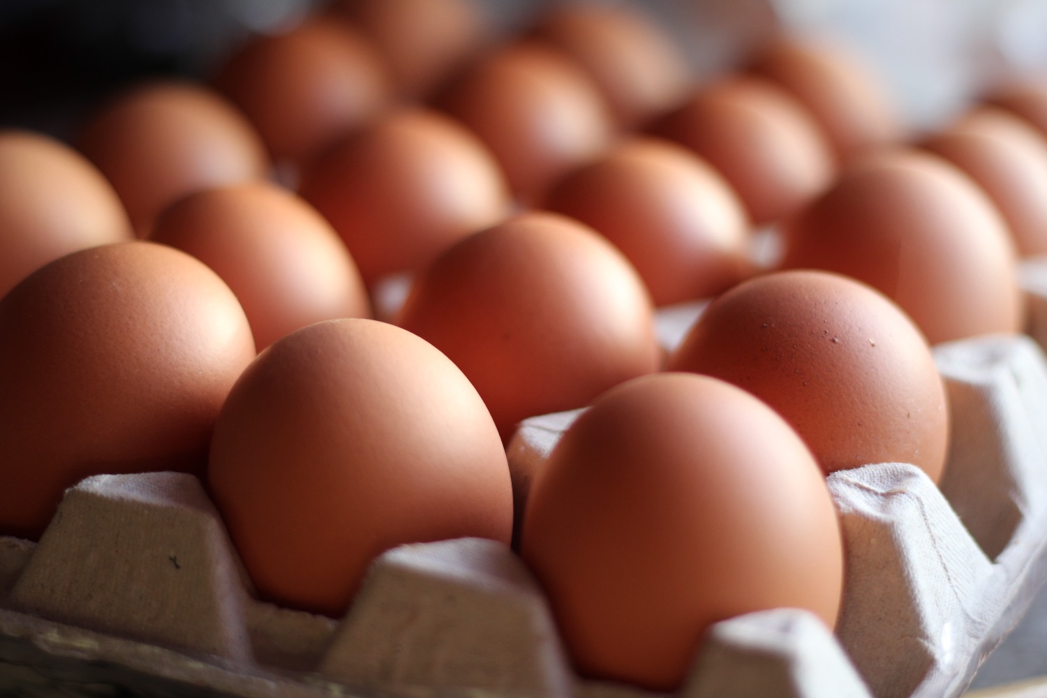Eggs in carton