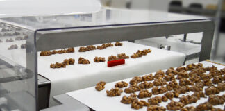 Metal detector checking food