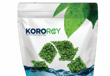 Korozo Group urges industry to accelerate sustainable innovation KoroRCY packaging