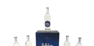 Transport box for glass water bottles