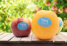 TIPA launches home compostable label for fresh produce