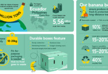 Mondi develops ‘lighter and more sustainable’ packaging solution for bananas Graphic outlining banana box innovation