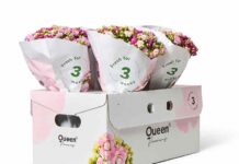 Corrugated cardboard design is coming up roses for floral bouquets Flower bouquet box