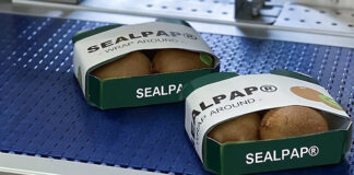 Paper-based packaging