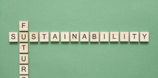 Sustainability crossword, wooden pieces with letters on a green background