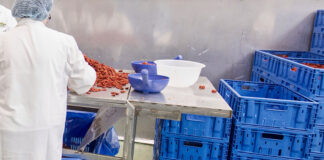 Reusable crates for tomatoes