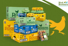 Colourful egg box packaging