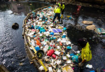 Labels manufacturer celebrates ocean plastic prevention milestones Clean-up operation to prevent plastic pollution in the ocean