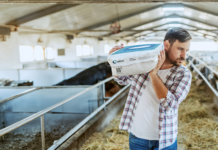 Animal food and bedding image