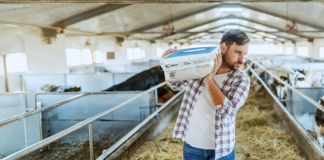 Animal food and bedding image