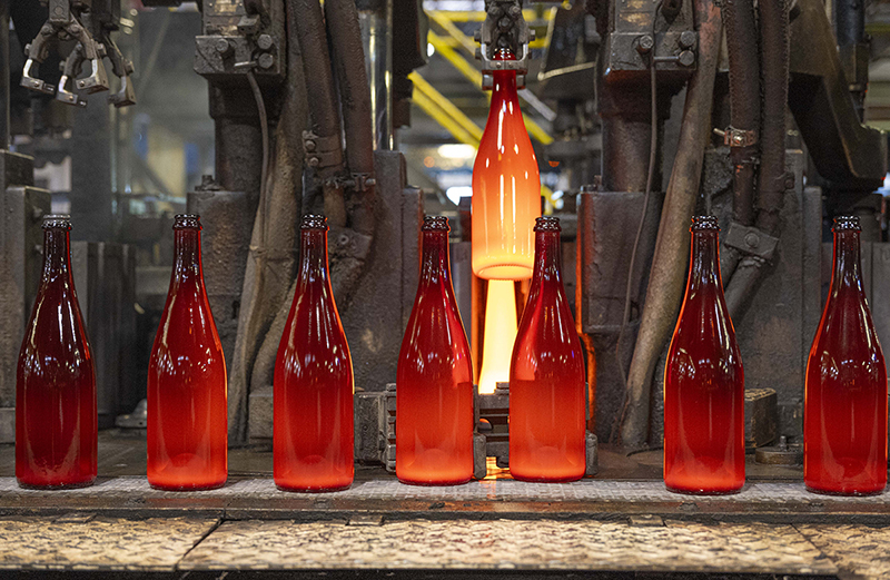 Sparkling wine bottle on production line