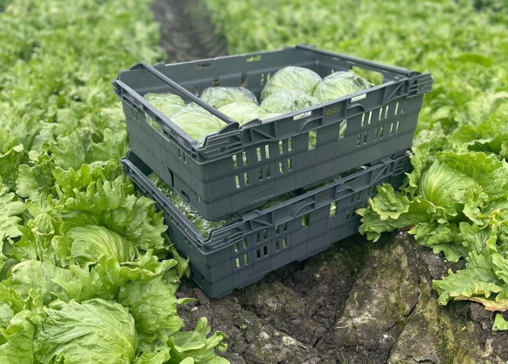 Tosca reusable pallets