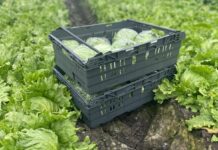 Tosca reusable pallets