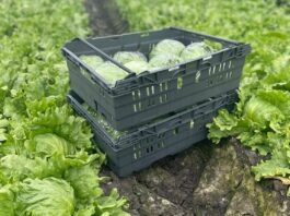 Reusable packaging emerging as ‘critical infrastructure’ for supply chains Tosca reusable pallets