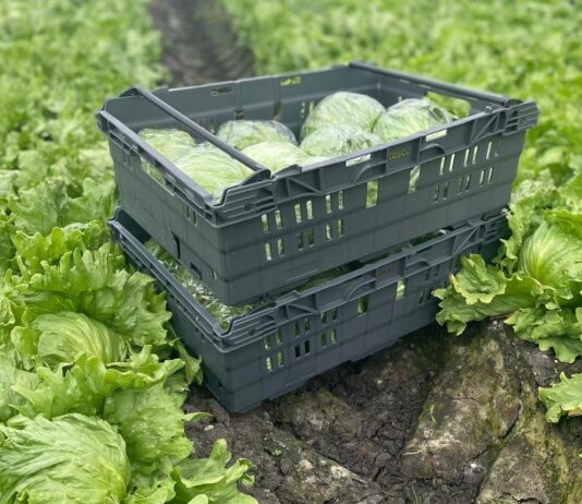 Reusable packaging emerging as ‘critical infrastructure’ for supply chains Tosca reusable pallets