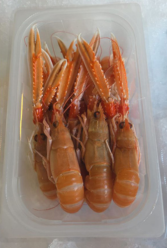 Languistine packaging
